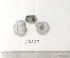 Click for 1 image(s) for this accession. FRUIT